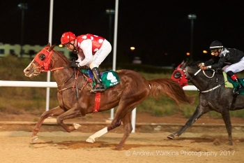 A double for AL ASAYL in AL AIN in the PA Maiden over 1800m and 1400m!! (on Friday December 8th)