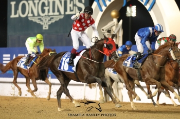 ABHAAR SHINES IN MEYDAN TAKING THE LISTED MADJANI STAKES!
