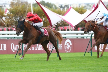 BACK TO BACK WINS IN THE QATAR G2 PRIX DANIEL WILDENSTEIN FOR 