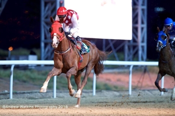 TH RICHIE PROGENY SHINE IN AL AIN! on Feb 16th 2018