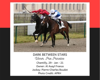 DARK BETWEEN STARS wins in Chantilly on 29/01/21