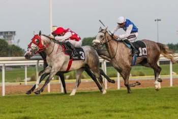 MUJEEB (DAHESS X NYMPHEA DU PAON) BREAKS HIS MAIDEN IN ABU DHABI UPON DEBUT