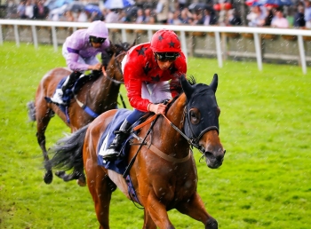 Bateel's class act through Haydock ground to reach the summit in Pinnacle Stakes