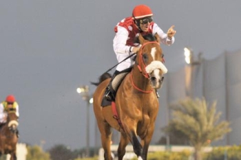 Al Asayl wins breeder award for 2011-2012 season.