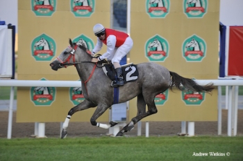 Anood Al Ghaid wins the first Arabian race in Abu Dhabi for the 2009-2010 season.