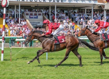 LUCHADOR WINS AT HAYDOCK PARK!