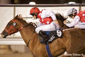 ElMalak El Waheed and Shoof Elajab score a double in Abu Dhabi