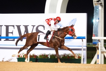 TH RICHIE PROGENY ON FIRE!! AS RB TORCH SMOKES HIS FIELD IN MEYDAN! GR 2