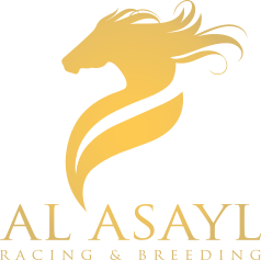 Al Asayl Stables